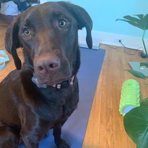 Meet your Posher, Jil